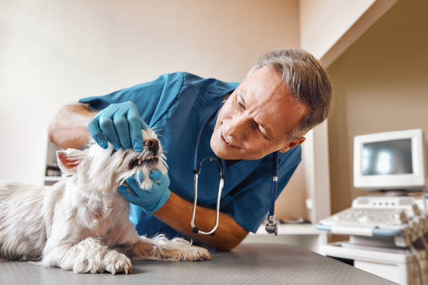 Best Emergency Dental Extractions in Gridley, CA